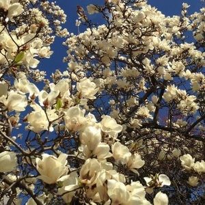 Meet your Posher, Ricardo